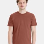 View image 1 of Hanes Unisex Perfect-T T-Shirt