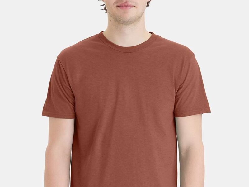 Hanes Unisex Perfect-T T-Shirt