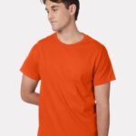 View image 1 of Hanes Unisex Authentic T-Shirt