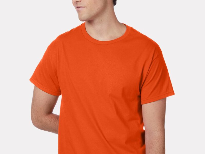 Hanes Unisex Authentic T-Shirt